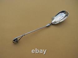 Aesthetic Sterling Serving Spoon Gorham Wire Wrapped Daisy 1880s
