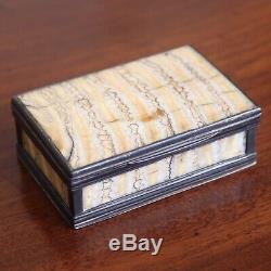 Antique Early Victorian Silver Mounted Mammoth Tooth Snuff Or Trinket Box, 1849