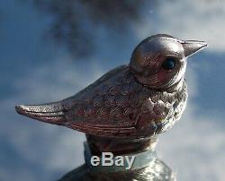 Lovely Victorian Solid Silver Novelty Bird Hinged Snuff Box Blue Enamel Eyes