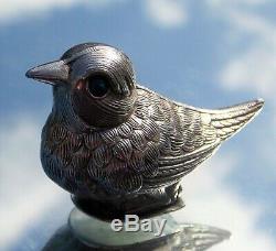 Lovely Victorian Solid Silver Novelty Bird Hinged Snuff Box Blue Enamel Eyes