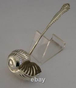 Novelty Sterling Silver Nautilus Shell Sugar Sifter Caster Spoon 1900 Antique
