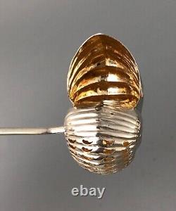 Victorian Solid SIlver Nautilus Shell Sifting Spoon Birmingham 1900 AAZX
