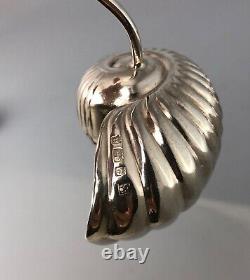 Victorian Solid SIlver Nautilus Shell Sifting Spoon Birmingham 1900 AAZX